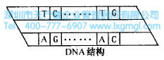 什么是六西格瑪創新設計的原動力