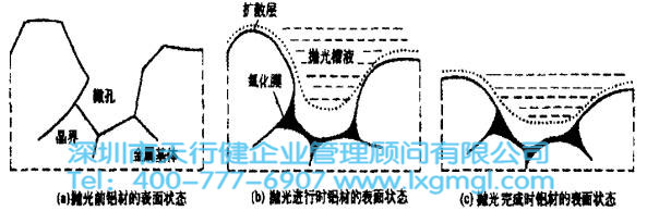 化學拋光的機理模型 化學拋光的機理模型