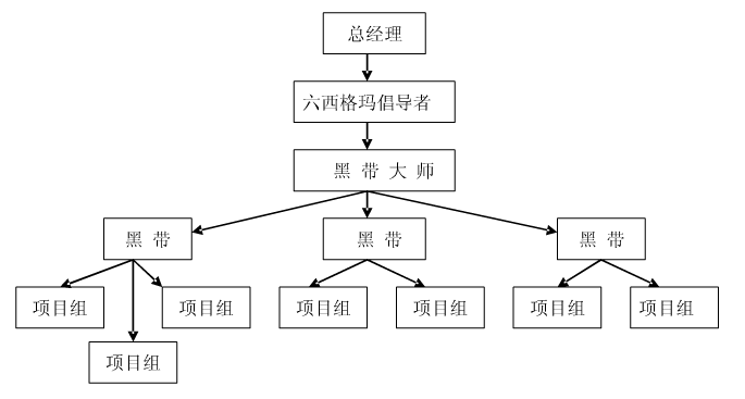 六西格瑪項(xiàng)目執(zhí)行團(tuán)隊(duì)的人員結(jié)構(gòu)剖析    