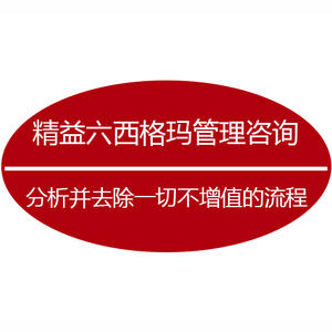 六西格瑪實施中的領導力因素