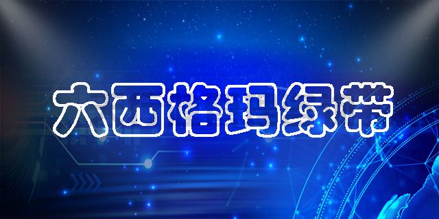六西格瑪綠帶手冊之六西格瑪管理解決企業(yè)難題的作用
