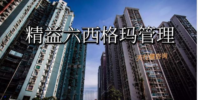什么是精益六西格瑪體系