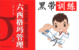 六西格瑪黑帶全套經典培訓PDF課程下載