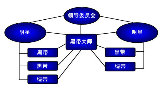 企業(yè)領導在實施六西格瑪管理中的職責有哪些