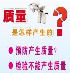 我們是怎樣實施六西格瑪的？