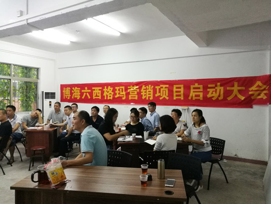 中山博海六西格瑪營銷項(xiàng)目啟動(dòng)